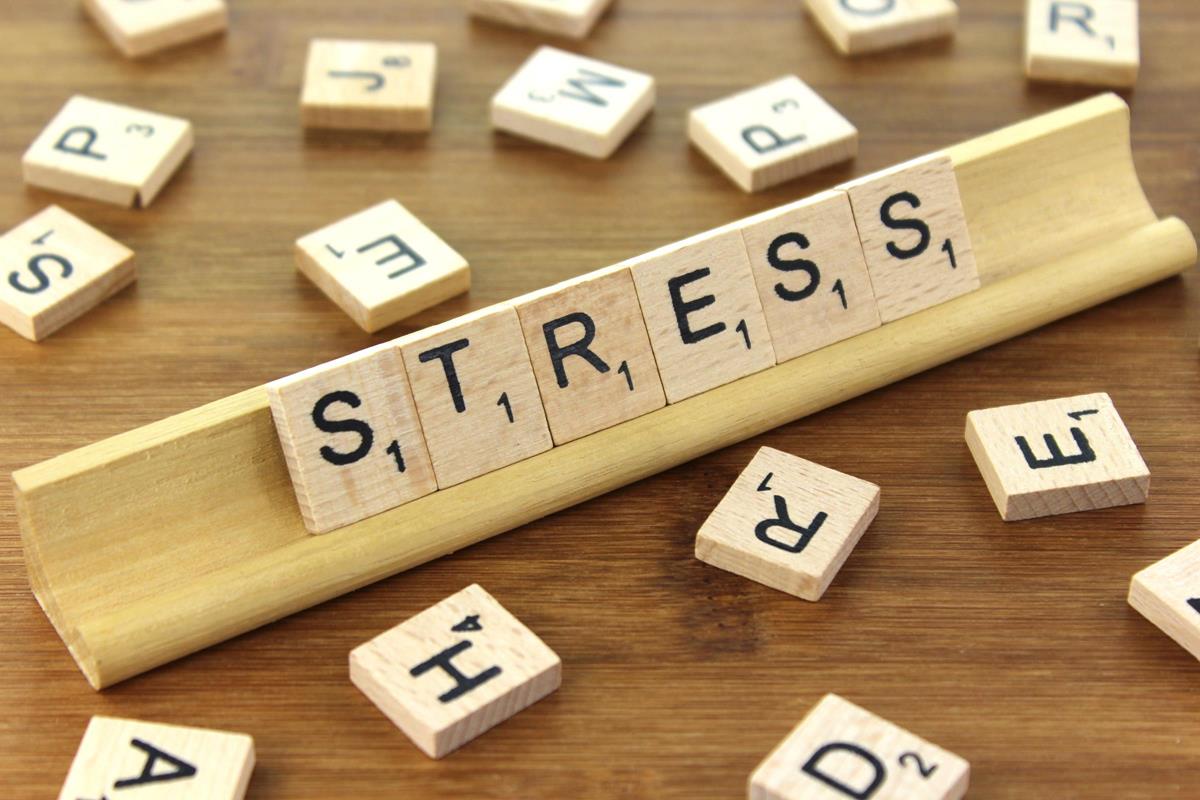 Hvad er stress?