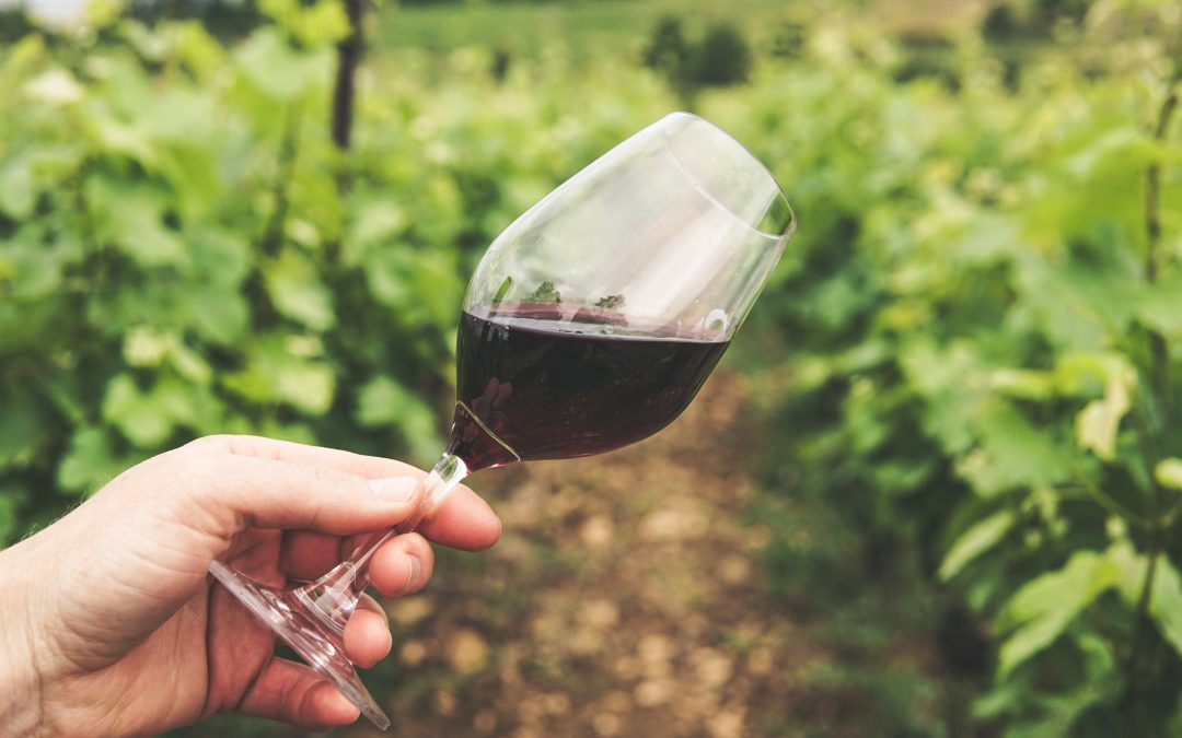 Gå efter økomærket – også når du drikker vin